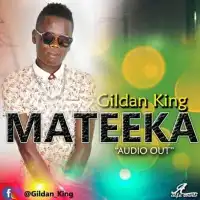 Mateeka - Gildan Official