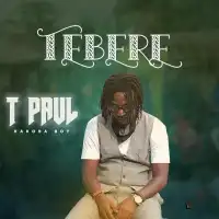 Tebere - T Paul 256 