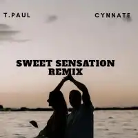 Sweet Sensation (Remix) - T Paul 256