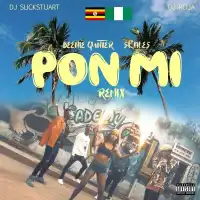 Pon Mi RMX - Beenie Gunter (feat. DJ Slick stuart, DJ Roja, Skales)