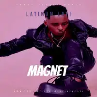 Magnet - Latinum