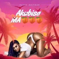 Akubisa (Clean) - Nutty Neithan