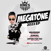 Mbarebire - Megatone Fieldmarshal 