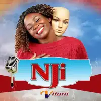 Vilani - Nji - Vilani (feat. Mc Mariachi & Golola Moses)