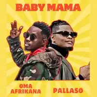 Baby Mama (Remix) - Oma Afrikana (feat. Pallaso)