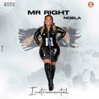 Mr Right (Instrumental) - Noela