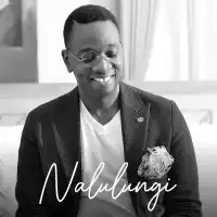 Nalulungi (Groovy Version) - Sylver Kyagulanyi