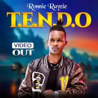 T.E.N.D.O - Ronnie Rayzie