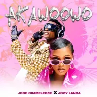 Akawoowo - Jowy Landa