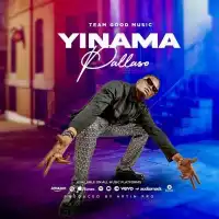 Yinama - Pallaso