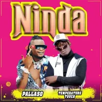 Ninda - Temperature Touch (feat. Pallaso)