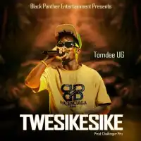 Twesikesike - TomDee UG