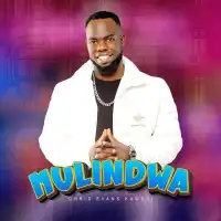 Mulindwa - Chris Evans