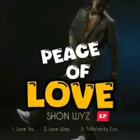 Love Yo - Shon Wyz 