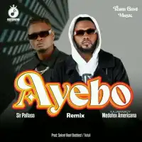 Ayebo (Remix) - Medotex Americana ft. Pallaso