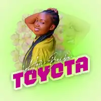 Toyota - Heli Baibe 