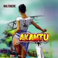 Akantu - Maliswene