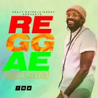 Reggae Riddim Vibe Nonstop - Dj Heavy 256 