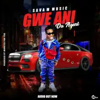 Gwe Ani - Da Agent 