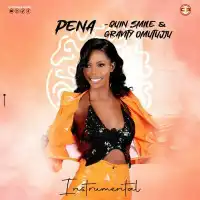 Pena (Instrumental) - Quin Smile