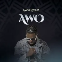 AWO - Amos Lovinz