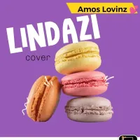 Lindazi CVR - Amos Lovinz