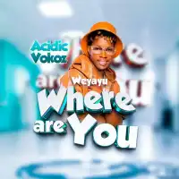 Weyayu (Where Are You) - Acidic Vokoz 