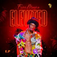 Elevated - Fixon Magna