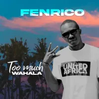 Too Much Wahala - Fenrico 