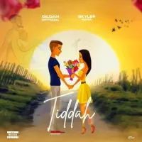 Tiddah - Gildan Official ft. Skyler Nana